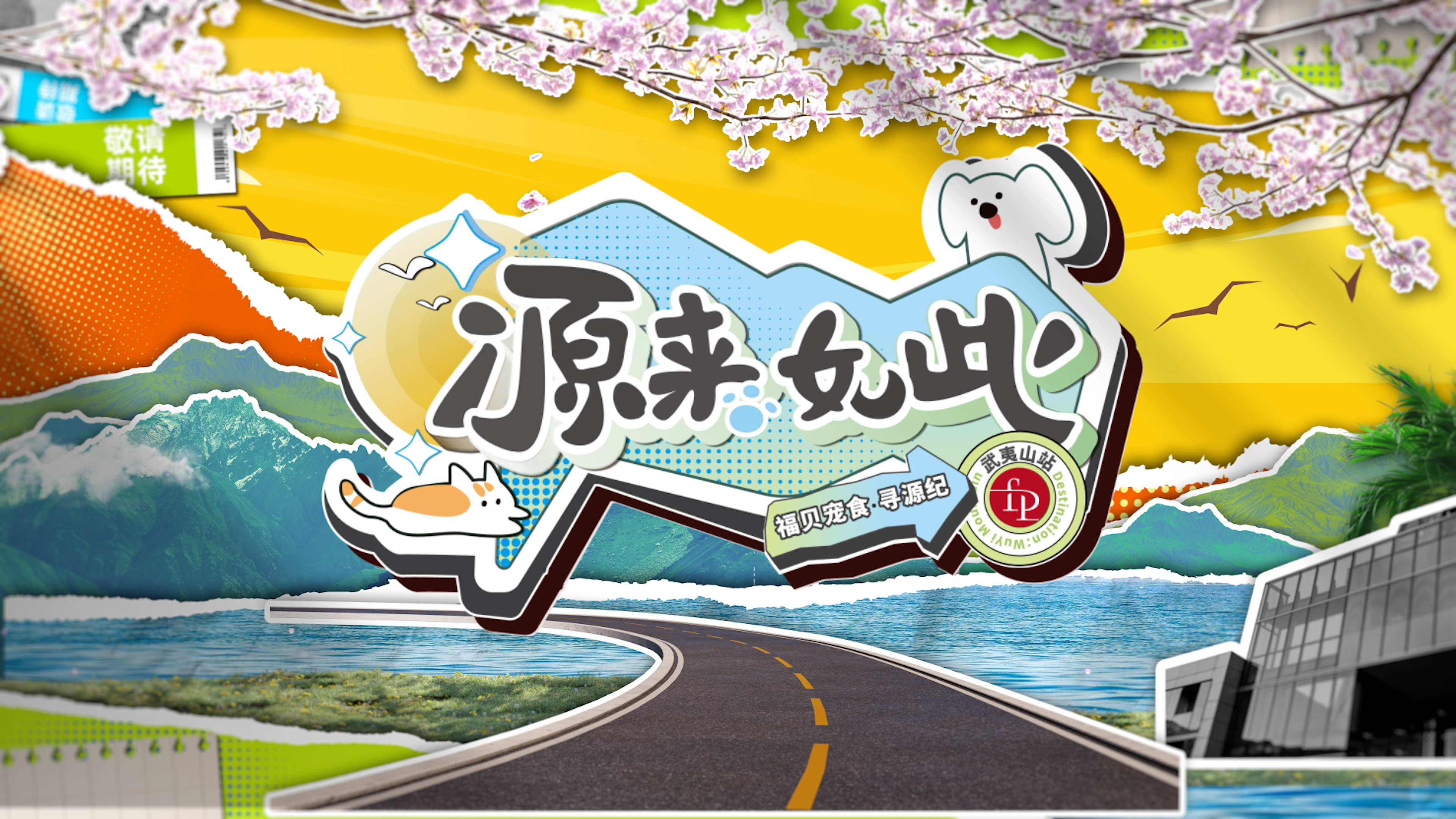 打破常规，用生动的方式传递价值——NG28宠食《寻源纪》微综艺正式上线