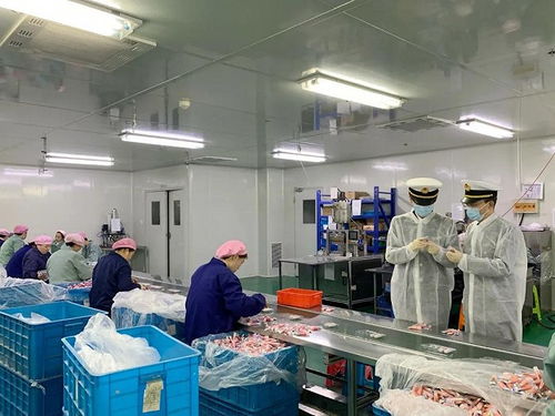 近9800亿元,宁波交出这份重要成绩单
