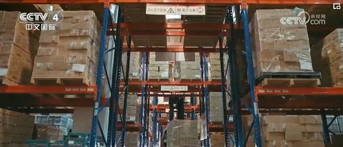 数读外贸 开门红 新型数字化助力中国产品扬帆 出海