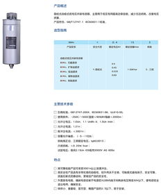 bsmj 圆柱式自愈式低电压并联电容器,电容器 控制器,人民电器集团产品中心,人民控股产品中心,人民电器产品中心,中国人民电器产品中心
